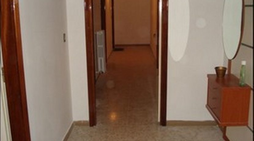 158389_1067_800