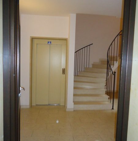 DSC00268_450_600 (2)