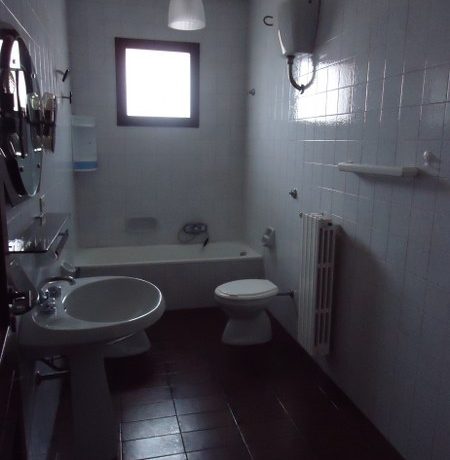 DSC00435_450_600
