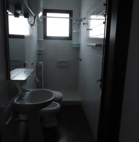 DSC00436_450_600