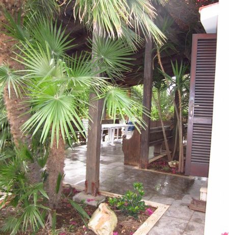 IMG_1422_450_600
