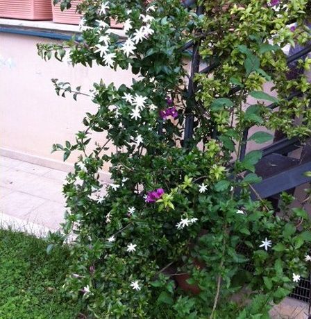 m_foto 2 (1)