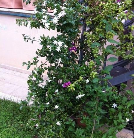 m_foto 2 (2)