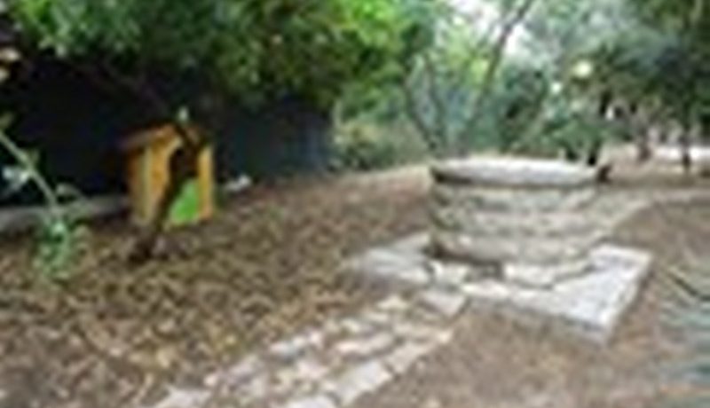 DSC01865_800_600