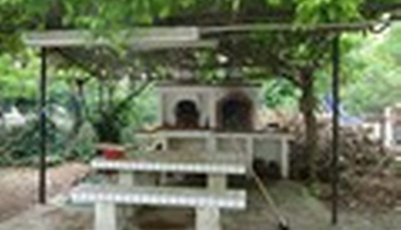 DSC01867_800_600