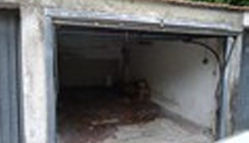 DSC01880_800_600