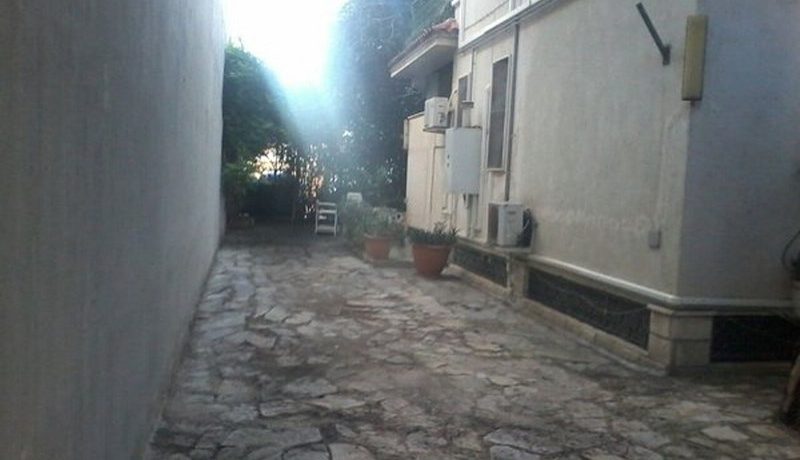 m_IMG_1295_800x600
