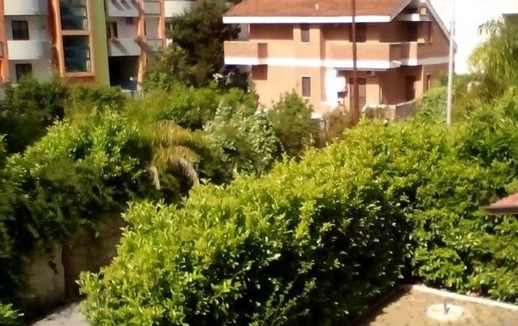 0PUPVTA_731x600