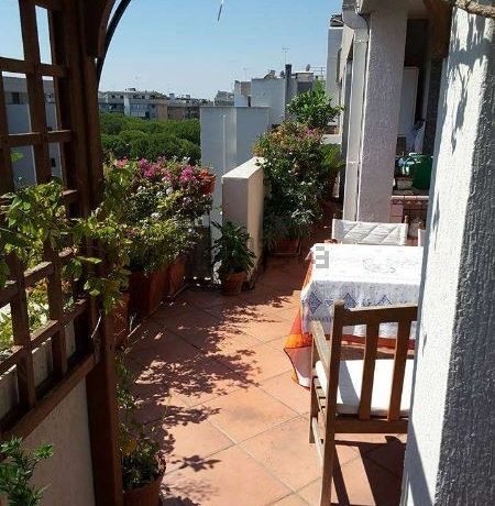 110837263 (1)_450x600