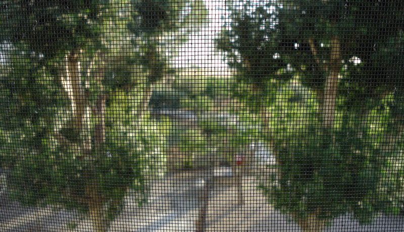 DSC01260_800_600