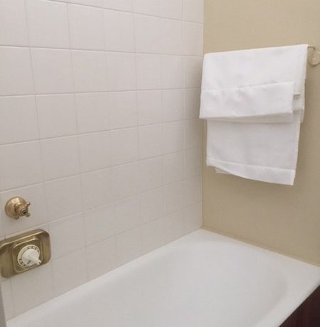 IMG_1956_450x600