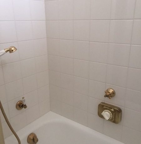 IMG_1957_450x600
