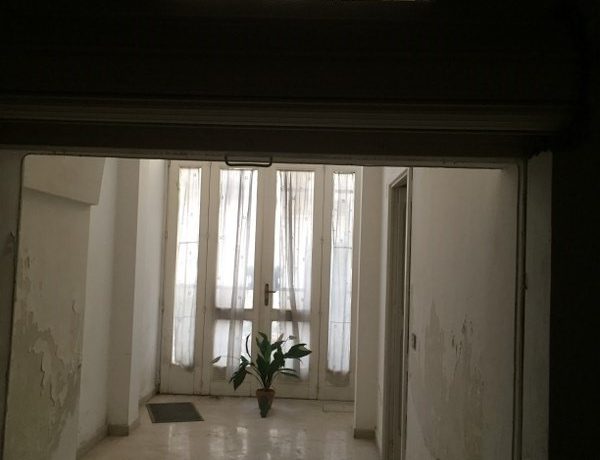 IMG_2095_800x600