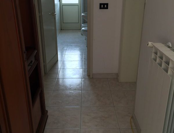 m_IMG_5285