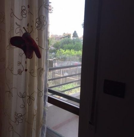 IMG_3004_450x600