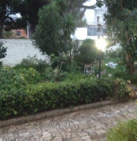 IMG_0347_448_600 (2)