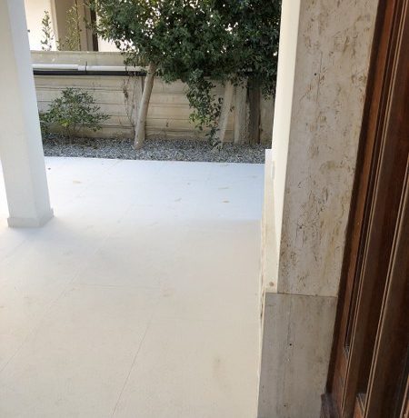 IMG_1604_450x600