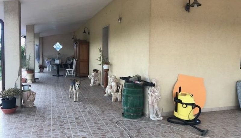 thumbnail_705310cad23883e6576a79d6dd218fea_800x600