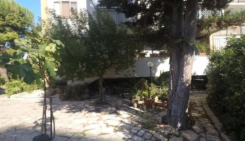 161755922_800x600