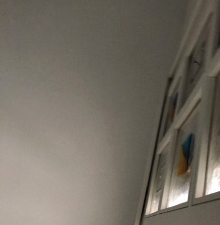 IMG_2418_450x600