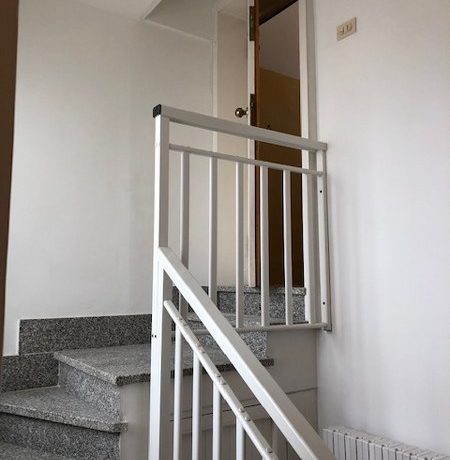 IMG_2449_450x600