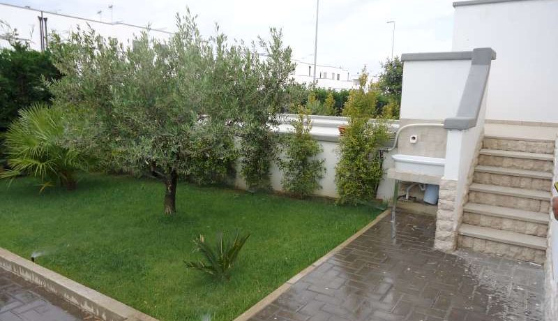 DSC01111 (2)-800