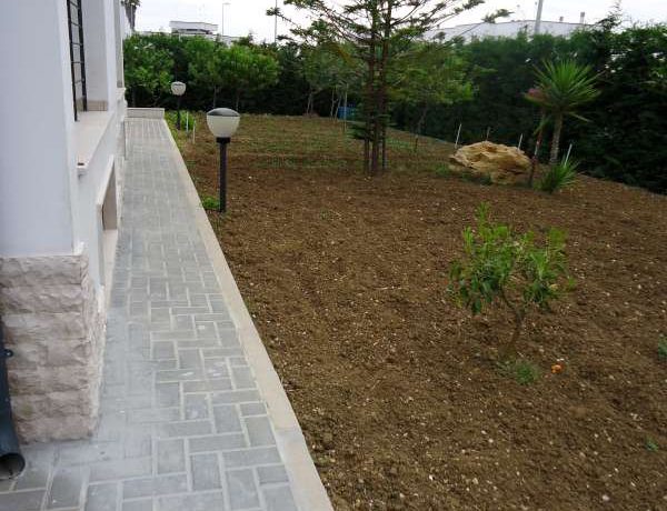 DSC01114 (2)-800