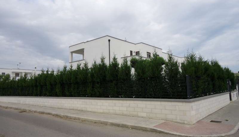 DSC01120 (2)-800