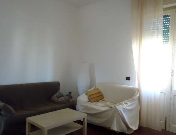 DSC01481-800