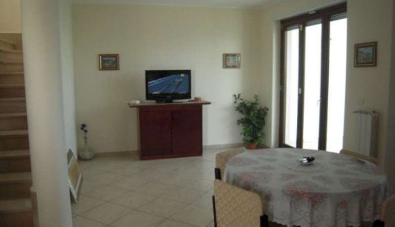 alessandro zona alb 56-800
