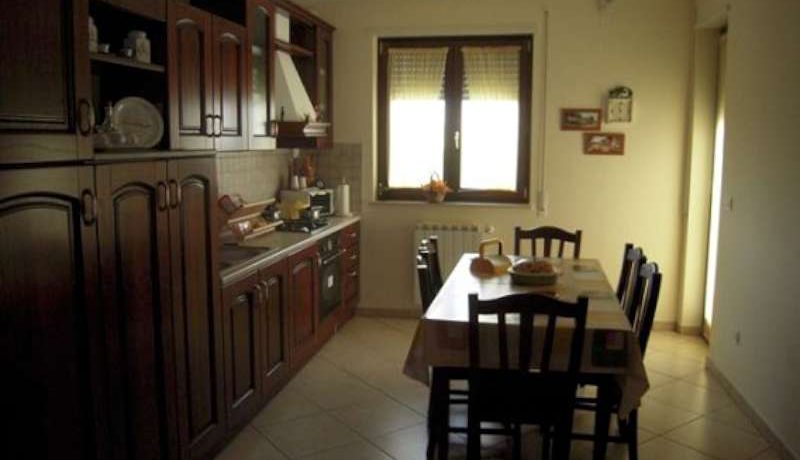 alessandro zona alb2-800