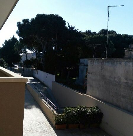 IMG_4153_450_800
