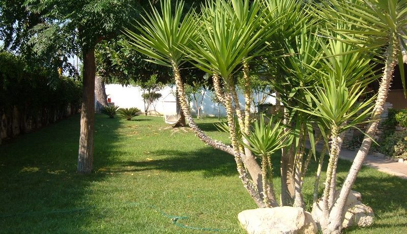 garden (front)_800_600