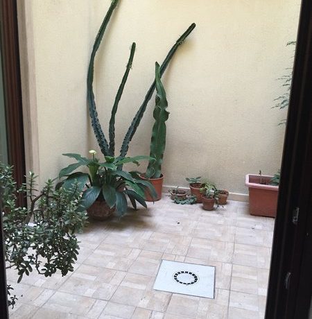 m_IMG_3579