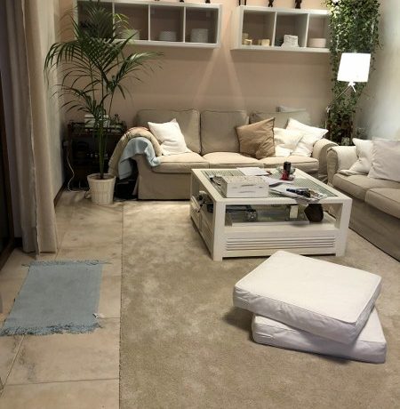 IMG_6518_450x600