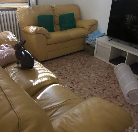thumbnail_IMG_4322
